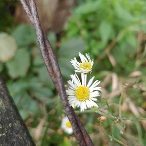 Meet your Posher, Ava